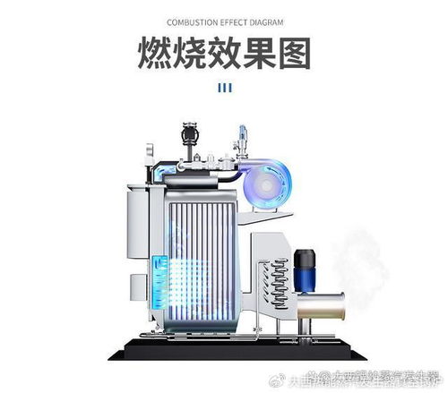 合規燃氣蒸汽發生器替代傳統鍋,不用報裝不用年檢不用環保環評