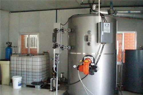 蚌埠小型燃油燃氣鍋爐銷售服務(wù)至上 多圖