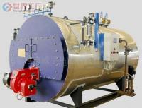 批發張家港威孚-WNS 0.15t/h燃氣發生器_機械及行業設備_世界工廠網中國產品信息庫